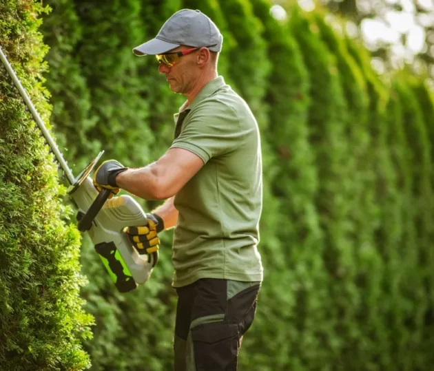 38e84b06278d7b59405e0d4c6a4de1820d66f593